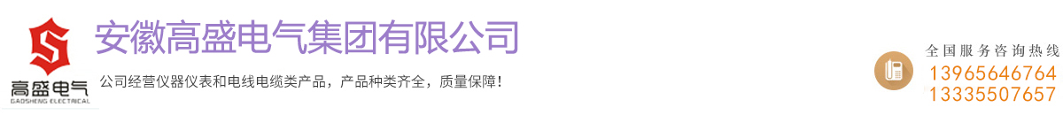 安徽高盛電氣集團(tuán)有限公司-銷(xiāo)售網(wǎng)
